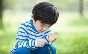 培养孩子兴趣的心得8篇