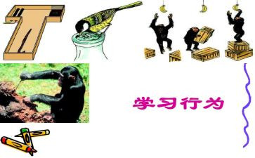 学生行为心得体会7篇