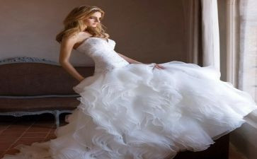 大灰狼娶新娘教案5篇