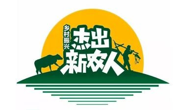 2024年新农合工作总结7篇