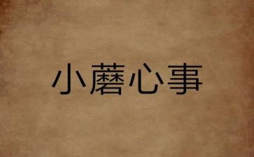 我的心事作文800字5篇