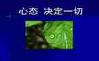9大心态的心得体会6篇