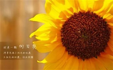 个人新一年工作计划参考8篇