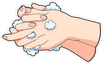 洗手健康课教案5篇