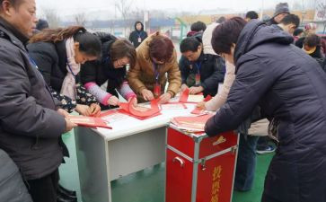 村两委换届选举工作总结8篇