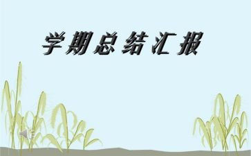 初一学期总结报告8篇