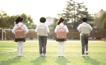 开大学生调查报告模板5篇
