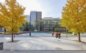 学校培训心得最新5篇