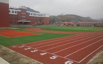 我的翰学校林演讲稿5篇