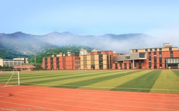 学校教师活动方案参考8篇