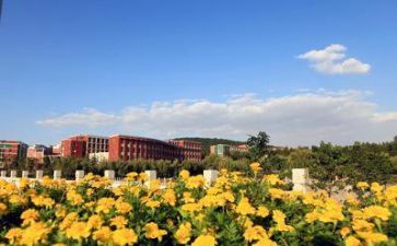 培训学校校长培训心得体会6篇