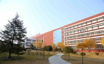 去学校的心得体会优质7篇