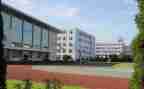 学校5体育工作计划推荐7篇