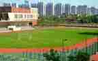 2024年学校个人总结最新7篇