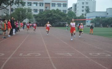 学校体育工作计划总结7篇