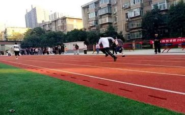 学校体育老师个人总结8篇