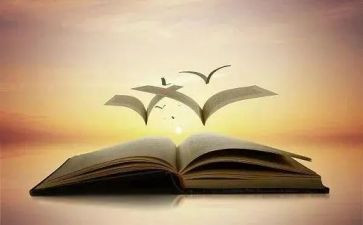 教师学业务知识心得体会8篇