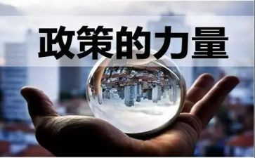学政策用政策心得体会推荐7篇