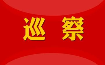 巡察组长巡察工作总结7篇