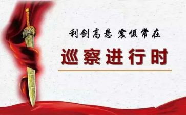 县巡察组组长工作总结5篇