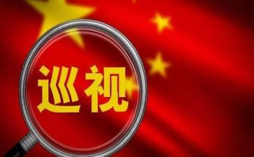 巡查总结报告5篇