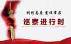 县巡察组组长工作总结5篇