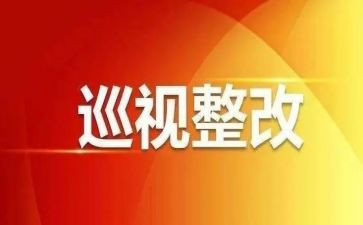 巡视工作的学习心得体会7篇