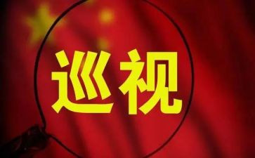 巡视工作总结7篇