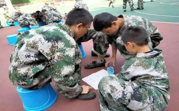 军训学生个人军训总结6篇