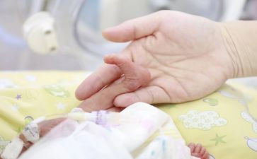 幼儿园蚕宝宝教案8篇