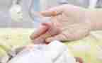 幼儿园蚕宝宝教案8篇
