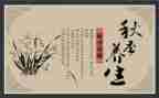 养生馆活动方案策划7篇