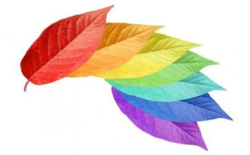 幼儿园教颜色教案5篇