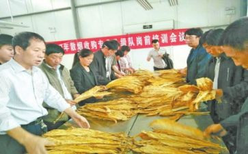 试用期化验员工作总结5篇