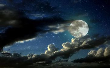 《子夜》的读后感6篇