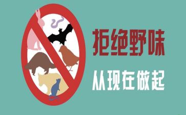 拒绝野味倡议书参考6篇