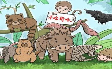 敬畏自然拒绝野味的演讲稿7篇