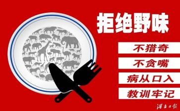 拒绝野味从我做起演讲稿6篇