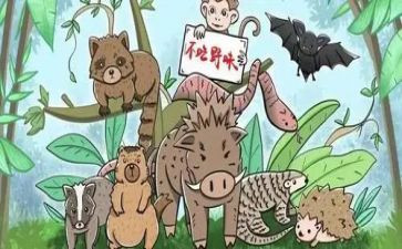 关于拒绝野味的演讲稿6篇