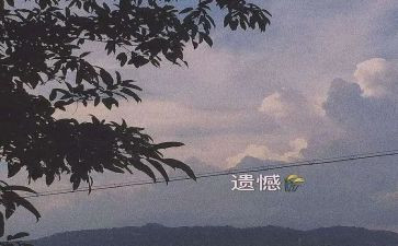 青春遗憾作文6篇
