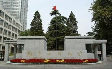 中医科的工作总结6篇