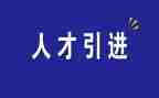学校引才工作总结报告精选8篇