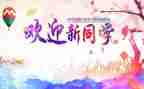 庆元旦,迎新年活动总结7篇