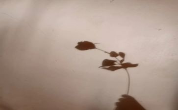 狗与影子读后感8篇