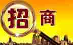 调研招商引资工作报告5篇