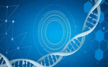 医学生2024年工作总结优质7篇