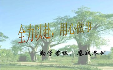 用心灵去作文模板6篇