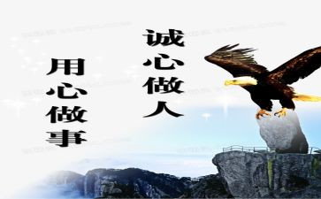 试用心得报告5篇