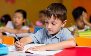 幼儿园班个人总结报告7篇