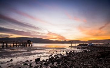 我的同学很幽默作文6篇